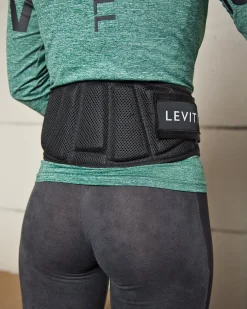 Basic Gym Belt
