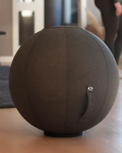 FitnessBall Cover 65 cm