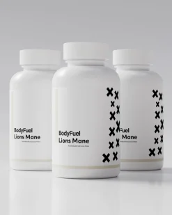 Lion’s Mane 90x500mg (3-pack)